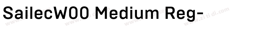 SailecW00 Medium Reg字体转换